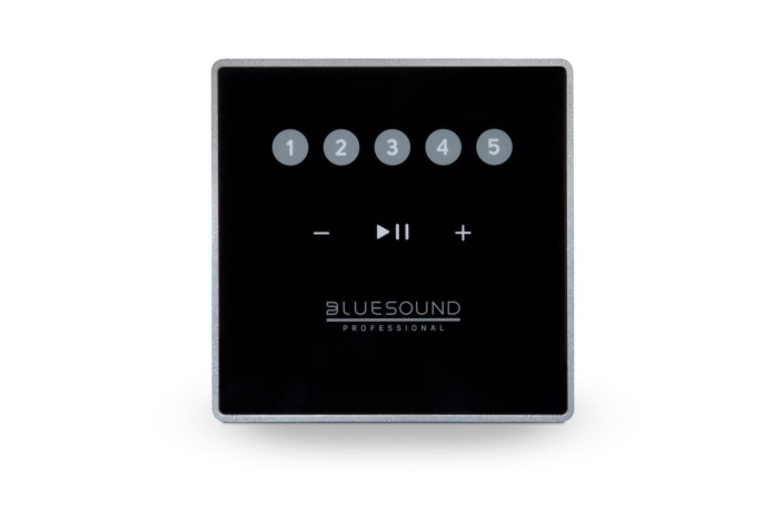 Bluesound Professional CP100