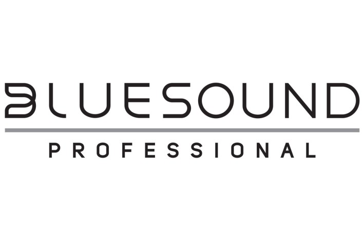 Bluesound Professional Pendant WH
