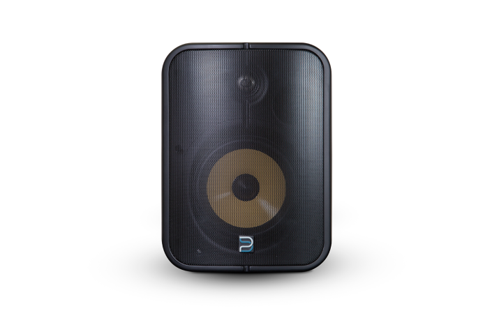 Bluesound Professional BSP1000BL
