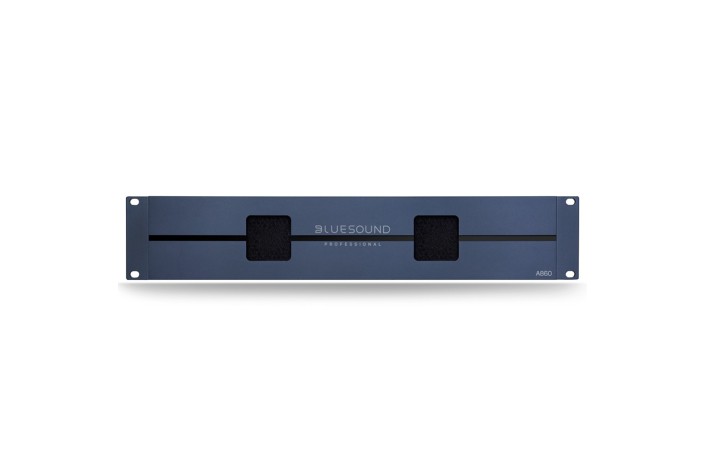 Bluesound Professional A860