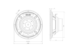 B&C 8CLA64 Woofer 8" 8 Ohm - Terminali Faston