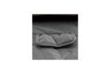 RCF CVR 004 Cover Originale Protettiva per Casse RCF