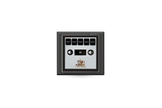 Bluesound Professional CP200