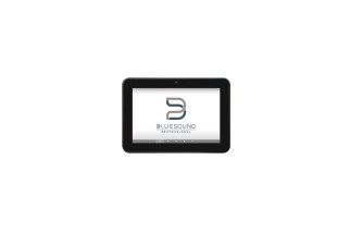 Bluesound Professional CP300