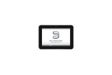 Bluesound Professional CP300