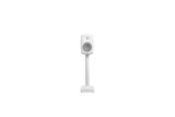 Genelec 6040BRW