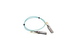 Yamaha YAOC-100G-1M