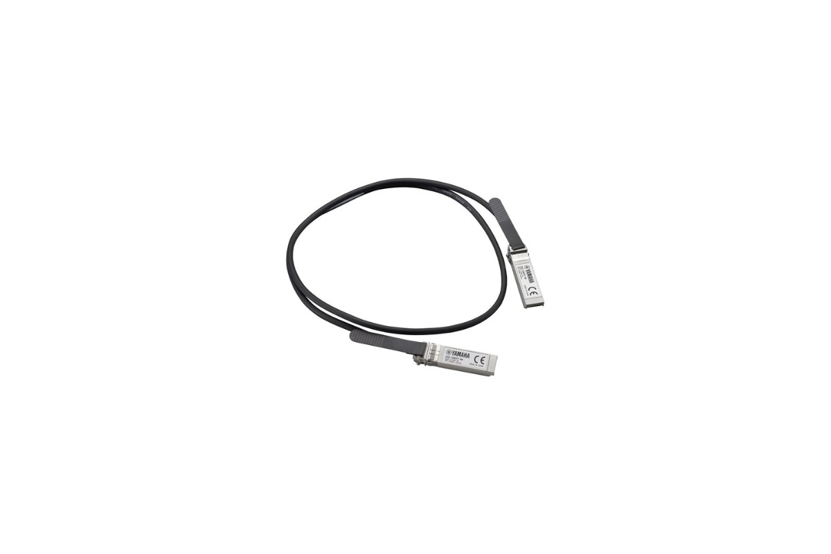 Yamaha DAC-SWRT-1M