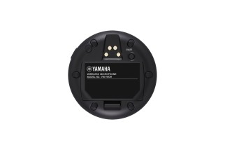 Yamaha RM-WDR