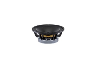 B&C 10FW64 Woofer 10” 8 Ohm – Terminali Faston