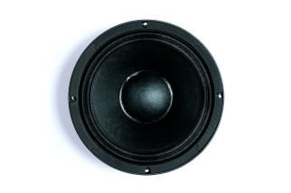 B&C 10PS26 Woofer 10” 4/8/16 Ohm – Terminali Faston