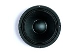 B&C 10PS26 Woofer 10” 4/8/16 Ohm – Terminali Faston