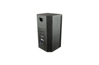 PROEL LTX12AV2