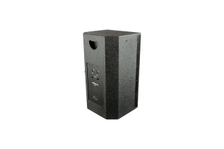 PROEL LTX12PV2