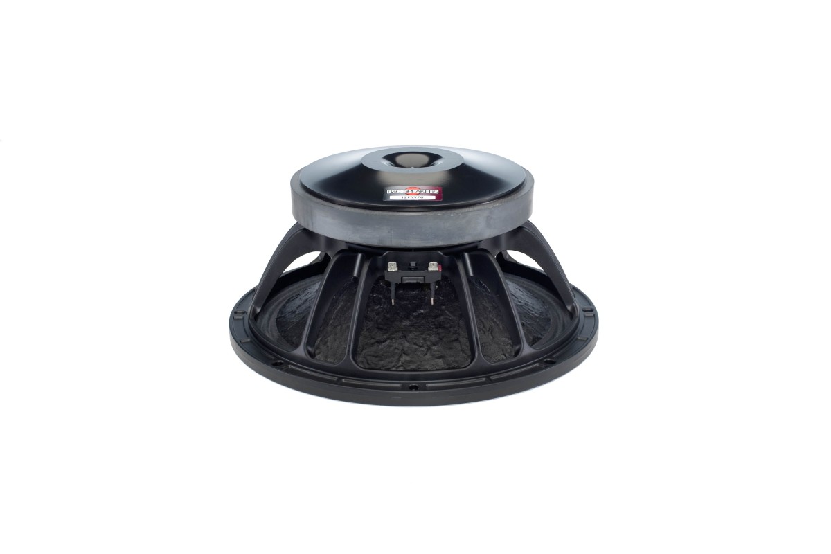 B&C 12FW76 Woofer 12” 4/8/16 Ohm – Terminali Faston
