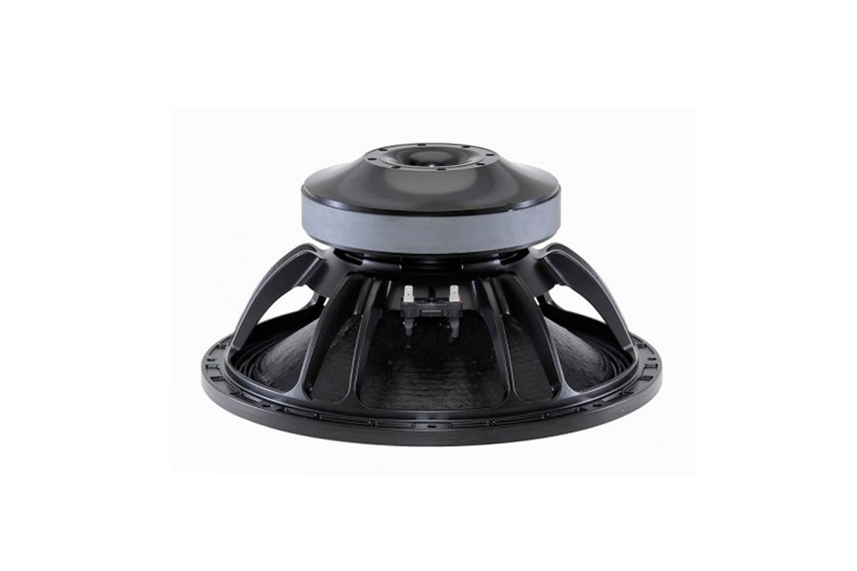 B&C 15TBW100 Subwoofer 15" 4/8 Ohm – Terminali Faston