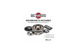 B&C Speakers MMDDCX464MF16 – Membrana di Ricambio per Driver DCX464 (MF) – 16 Ohm