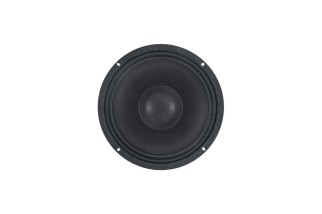 B&C Speakers 10CLX64 – Coassiale 10" – 8 Ohm – Terminali Faston