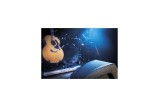 DAP M12 – Monitor da Palco Attivo 12"