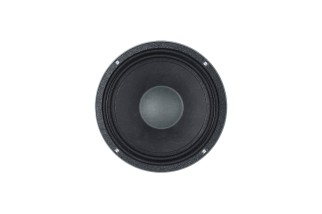 B&C Speakers 10HPL64 – Woofer 10" – 16 Ohm – Terminali Push Button