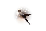 Shure BETA 181/BI – Microfono a Condensatore Side-Address con Capsule Intercambiabili