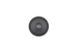 B&C Speakers 15SW100 – Subwoofer 15" – 8 Ohm – Terminali Faston