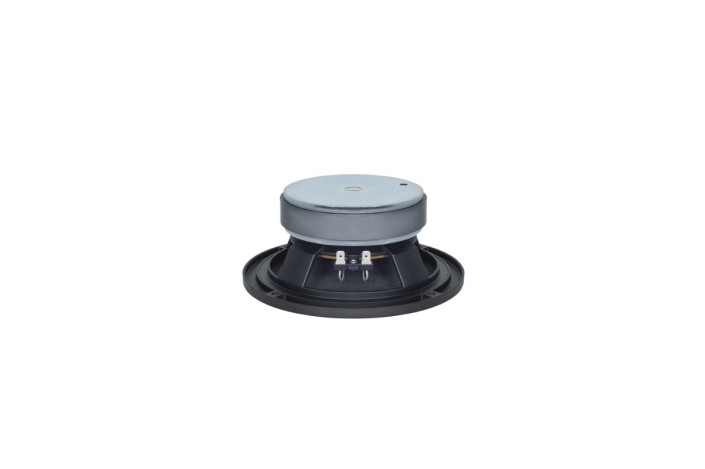 B&C Speakers 6PEV13 – Midrange 6,5" – 8 Ohm – Terminali Faston