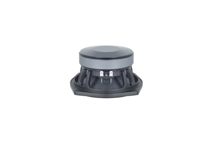 B&C Speakers 6MD38 - Midrange 6,5" - 8 Ohm – Terminali Faston