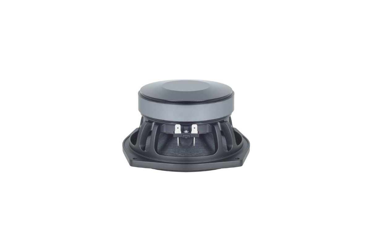B&C Speakers 6MD38 - Midrange 6,5" - 16 Ohm – Terminali Faston