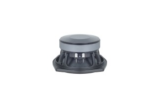 B&C Speakers 6MD38 - Midrange 6,5" - 16 Ohm – Terminali Faston