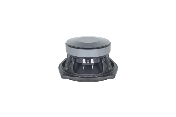 B&C Speakers 6PS38 - Woofer 6,5" - 4 Ohm – Terminali Faston