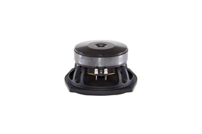B&C Speakers 6PS44 - Woofer 6,5" - 8 Ohm – Terminali Faston