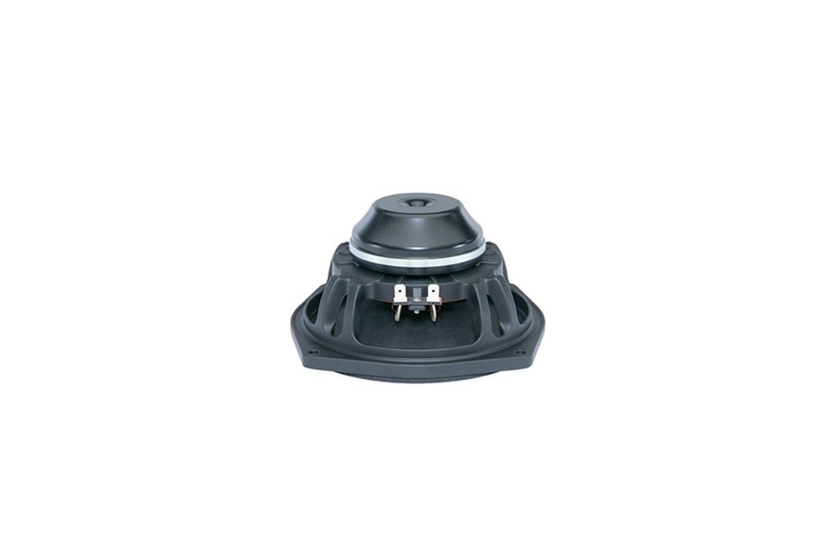 B&C Speakers 6NDL38 - Woofer 6,5" - 4 Ohm – Terminali Faston
