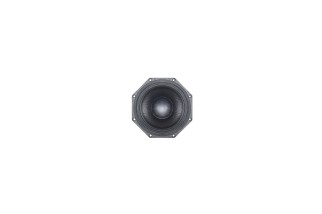 B&C Speakers 8MDN51 - Midbass 8" - 8 Ohm – Terminali Faston