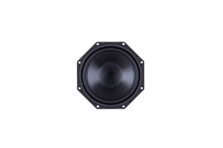 B&C Speakers 8FG51 - Woofer 8" - 16 Ohm – Terminali Faston