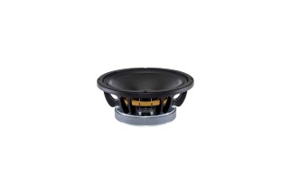 B&C Speakers 10FW64 - Woofer 10” - 8 Ohm – Terminali Faston