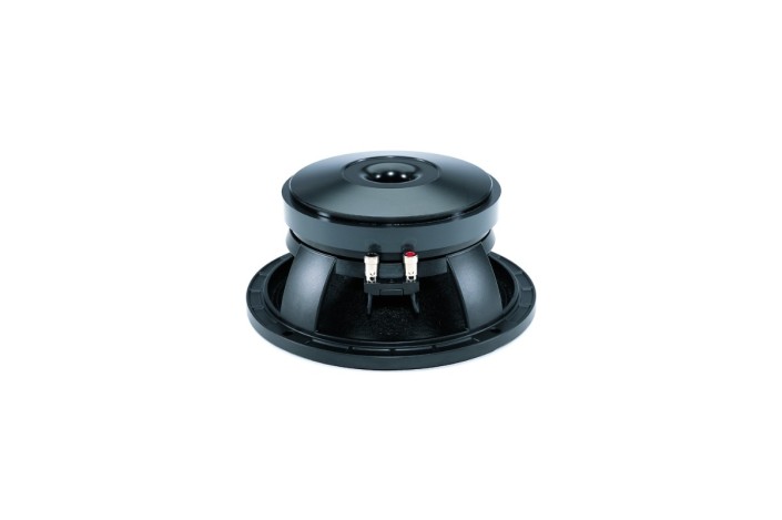 B&C Speakers 10PLB76 - Woofer 10” - 8 Ohm – Terminali Push Button