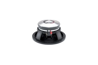 B&C Speakers 10PS26 - Woofer 10” - 16 Ohm – Terminali Faston