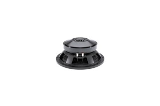 B&C Speakers 12TBX100 - Subwoofer 12" - 8 Ohm - Terminali Push Button