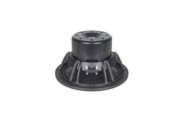 B&C Speakers 12SW115 - Woofer 12" - 4 Ohm – Terminali Faston