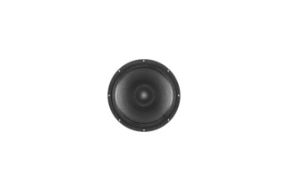 B&C Speakers 15FW76 - Woofer 15" - 8 Ohm – Terminali Faston