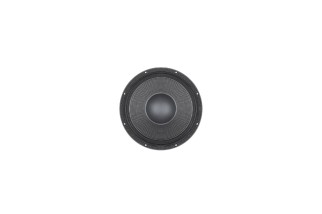 B&C Speakers 15DS100 - Subwoofer 15" - 4 Ohm – Terminali Push Button