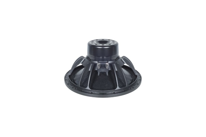 B&C Speakers 15DS100 - Subwoofer 15" - 8 Ohm – Terminali Push Button