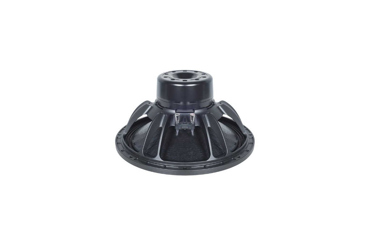 B&C Speakers 15DS100 - Subwoofer 15" - 8 Ohm – Terminali Push Button