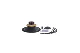 Kit Riconatura (Recone Kit) B&C Speakers RCK21IPAL - 1 Ohm