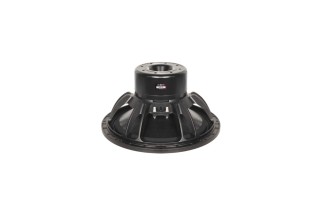 B&C Speakers 15DS115 - Subwoofer 15" - 8 Ohm – Terminali Faston