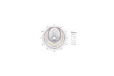 B&C Speakers ME10V3 – Tromba per Driver a Compressione 1"