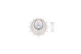B&C Speakers ME10V3 – Tromba per Driver a Compressione 1"