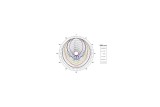B&C Speakers ME60 – Tromba per Driver a Compressione 2"