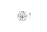 B&C Speakers ME60 – Tromba per Driver a Compressione 2"